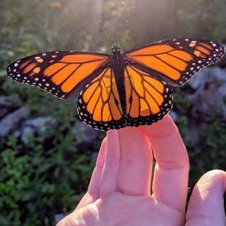 Логотип @planetaschastia - ПЛАНЕТА СЧАСТЬЯ 💖