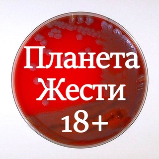 Логотип @planetazhesti18 - Планета жести 18+