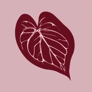 Логотип @plantathai - Plantathai | Plantatherapy shop | антуриумы и редкие растения