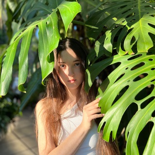 Логотип @plantatherapy - Plantatherapy
