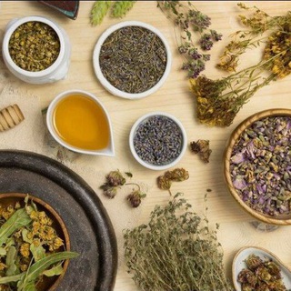 Логотип @plantesmedicinalesguadeloupe - Pratiques ancestrales - Plantes médicinales