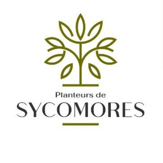 Логотип @planteursdesycomores - Planteurs de Sycomores 🌳