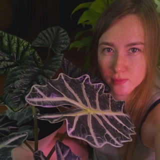 Логотип @plants_purr - Plants & Purrfection