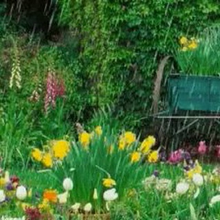 Логотип @plantsbenefits - 💚PLANTS BENEFITS🌻NATURAL MEDICINE