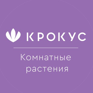 Логотип @plantskrokuskazan - Комнатные растения «Крокус»