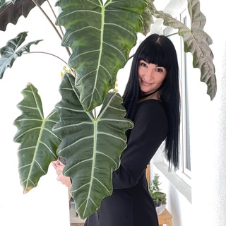 Логотип @plantsnadom - Kery’s Garden