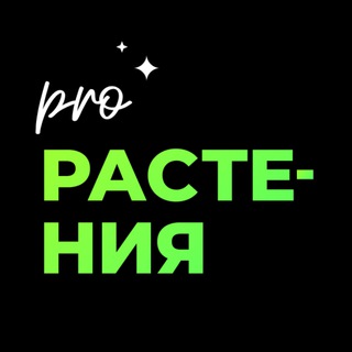 Логотип @plantsrussia - PRO Растения
