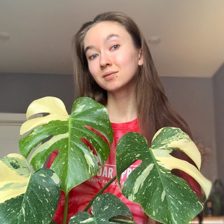 Логотип @plantssahagor - plants.sg