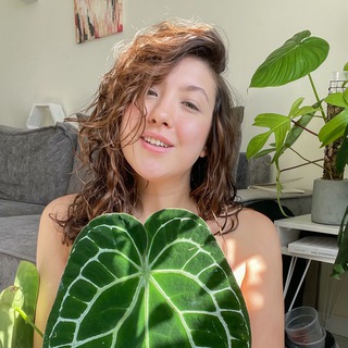 Логотип @plantychloelife - Planty Chloe