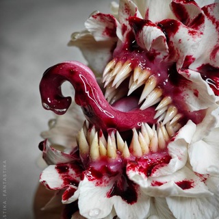 Логотип @plastika_fantastika_tg - Plastika_fantastika