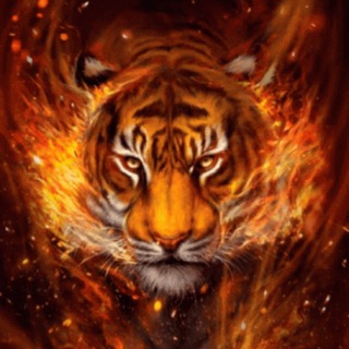 Логотип @platnie_shemi_ami_as_bisera - Collection Shem Na Ami