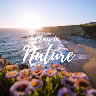 Логотип @play_in_nature - Play in Nature