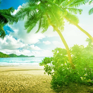 Логотип @playtravel - PLAY TRAVEL