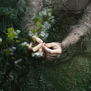 Логотип @pleasure44 - - pleasure.