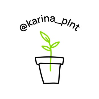 Логотип @plnt_ru - Plnt.ru товары от @karina_plnt