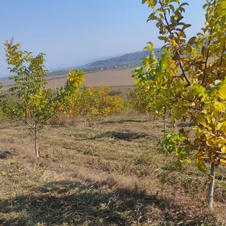 Логотип @plodorodie_zemli - Плодородие Земли