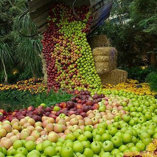 Логотип @plodsad - Плодовый Сад