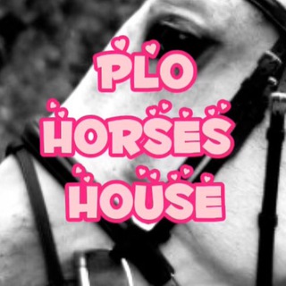 Логотип @plohorses - plo.horses
