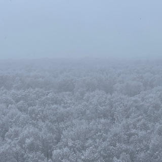 Логотип @plotnikovarttalk - Раушенберг в слезах