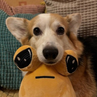 Логотип @plpsp - speed songs | pik4chi <3