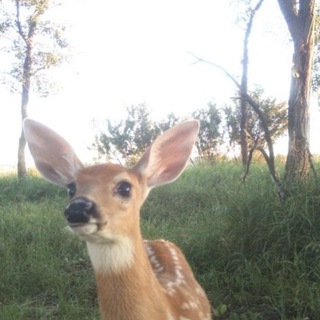 Логотип @plsaveme - не удалось сохранить