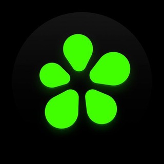 Логотип @pluchat - Лига Плюща🌴