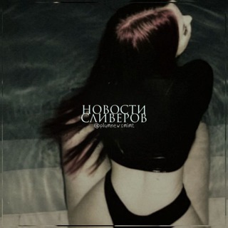 Логотип @plumnewsmimt1 - обсуждение новостей