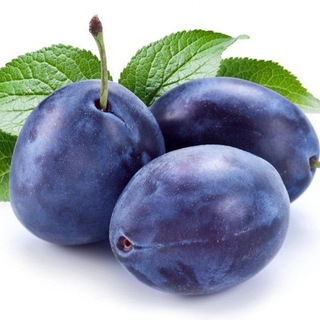 Логотип @plums_place - Сливы