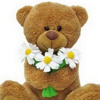 Логотип @pluseviumedved - Плюшевый Медведь