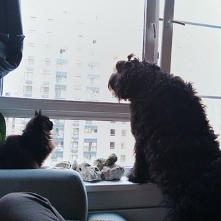 Логотип @pluton_lilit - Плутон и Лилит