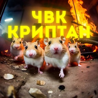 Логотип @pmcryptan - ЧВК КРИПТАН