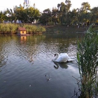 Логотип @pmrbioton - Защита растений. Агрономия.