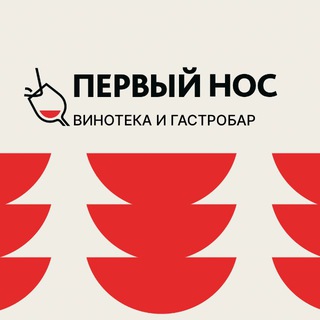 Логотип @pnaerobus - На борту Аэробуса