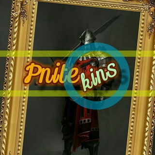 Логотип @pnights - PN CAMPAIGN KINS
