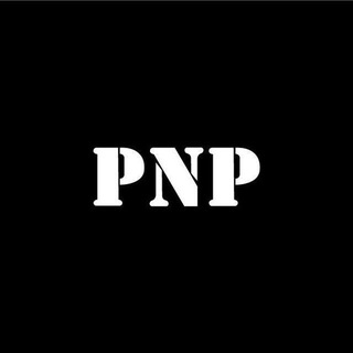 Логотип @pnp_gp - "PNP GROUP"