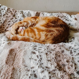 Логотип @po_dusham_katarina - По душам