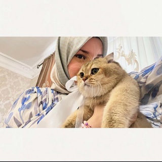 Логотип @pochemubiinett - P.