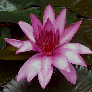 Логотип @pochuvstvuisvoyurealnost - Почувствуй свою реальность