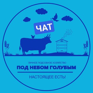 Логотип @pod_nebom_life_chat - Под небом голубым
