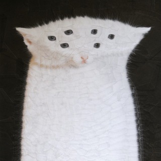 Логотип @pod_sherstok - ПОДШЁРСТОК