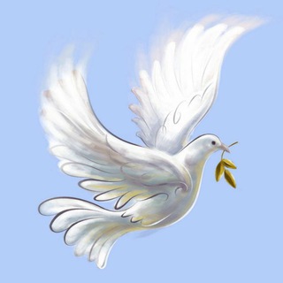 Логотип @podarinadezhdy - Подари Надежду