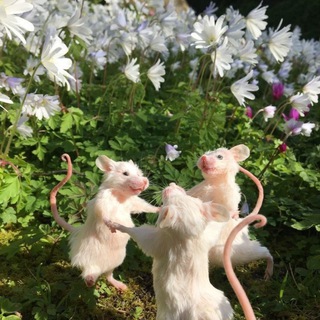 Логотип @podkalii - Зоопарк в твоей голове|ПСИХОЛОГИЯ