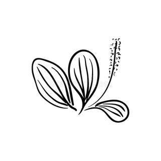 Логотип @podoroznjk - Подорожник