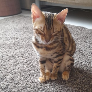 Логотип @podpolie1084life - Чат подполья