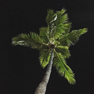 Логотип @podrostok88 - Дневник подростка.