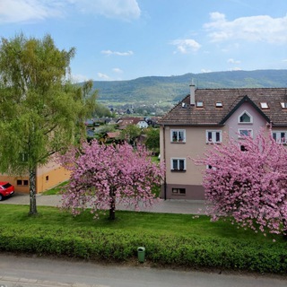 Логотип @podrugu1 - Найти / Друга Ищу 😏 пару