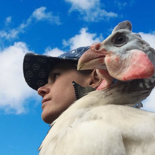 Логотип @podruzhkanesushka2022 - ПОДРУЖКАНЕСУШКА