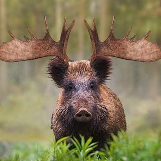 Логотип @podslucheno_tambov - Подслушано в Тамбове