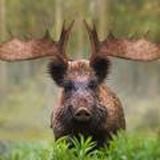 Логотип @podslushano_tambov_chat - podslushano_tambov_chat