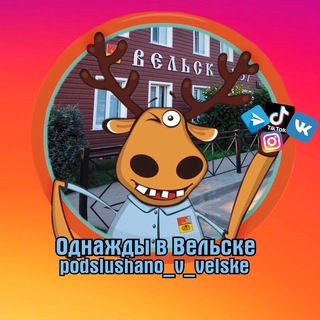 Логотип @podslushano_v_velske29 - Однажды в Вельске